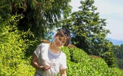 国内精品一卡二卡三卡